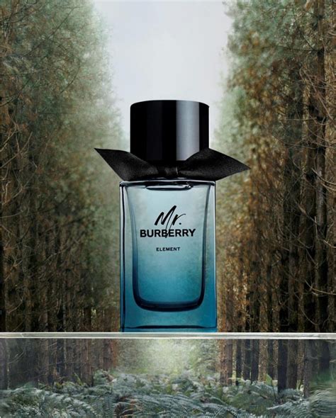 mr. burberry element burberry|mr burberry indigo fragrantica.